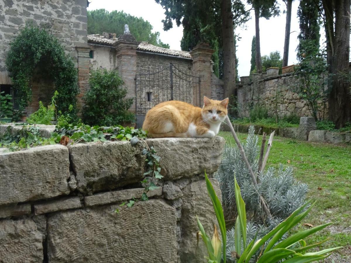 Appartamenti Lais In Sipicciano 外观 照片