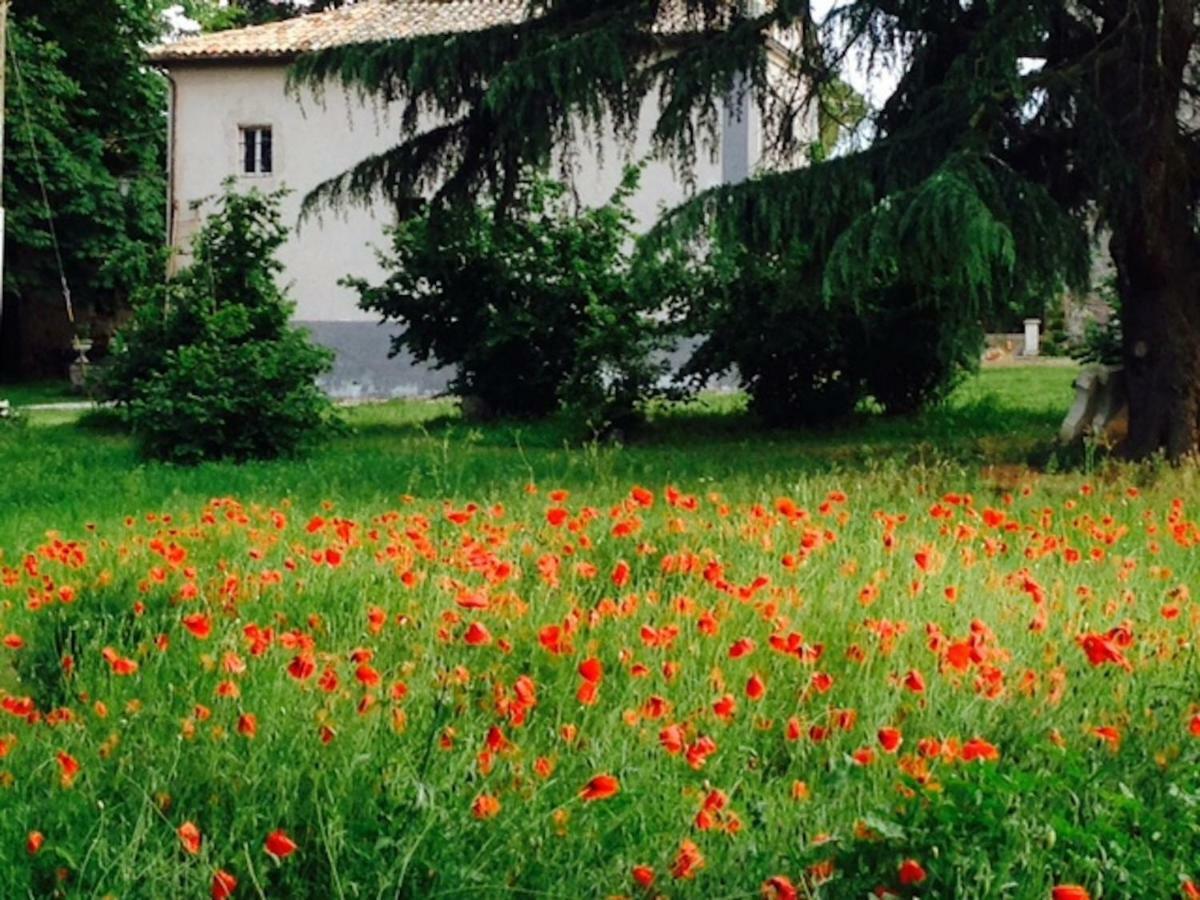 Appartamenti Lais In Sipicciano 外观 照片
